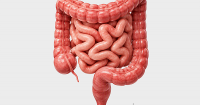 Como saber se tem algo errado com o intestino?